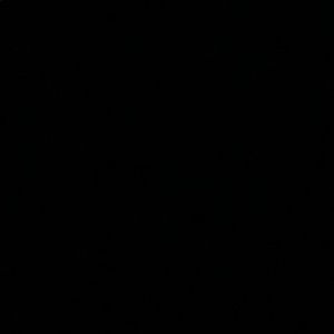 Meet your Posher, Sadie